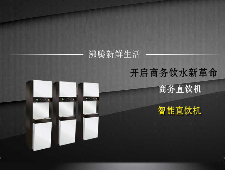 <strong>ES-10 滿足30-50人冷熱水可選直飲機(jī)</strong>